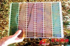 廉價太陽能電池被新西蘭學(xué)者發(fā)現(xiàn)